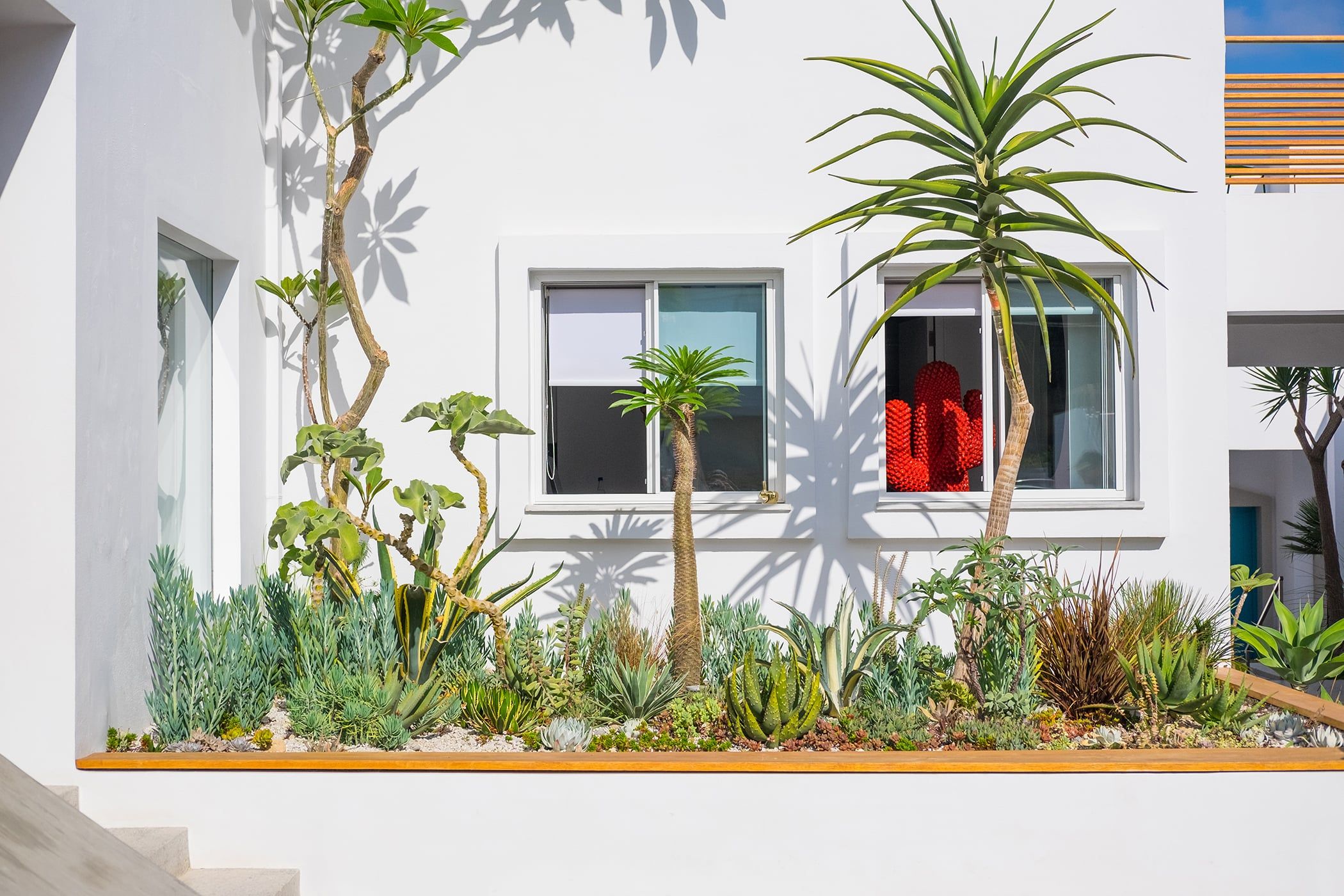 المظهر الخارجي