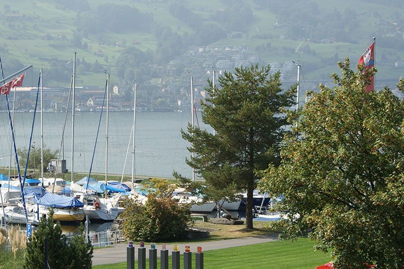 المظهر الخارجي