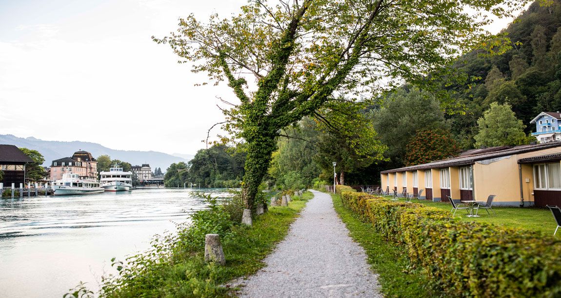 المظهر الخارجي