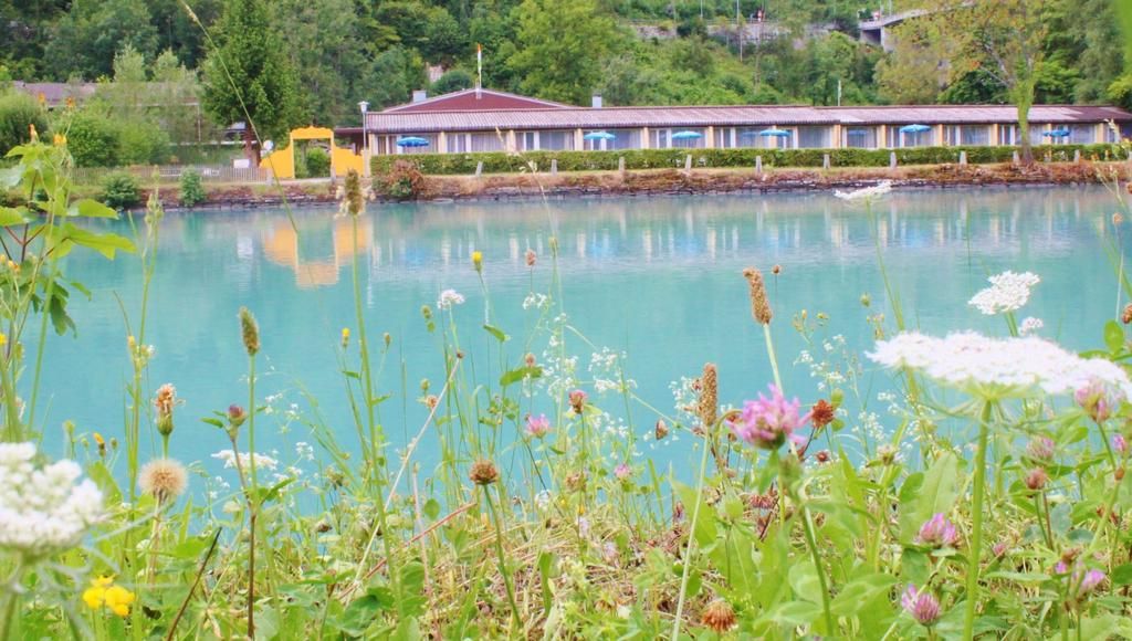 المظهر الخارجي