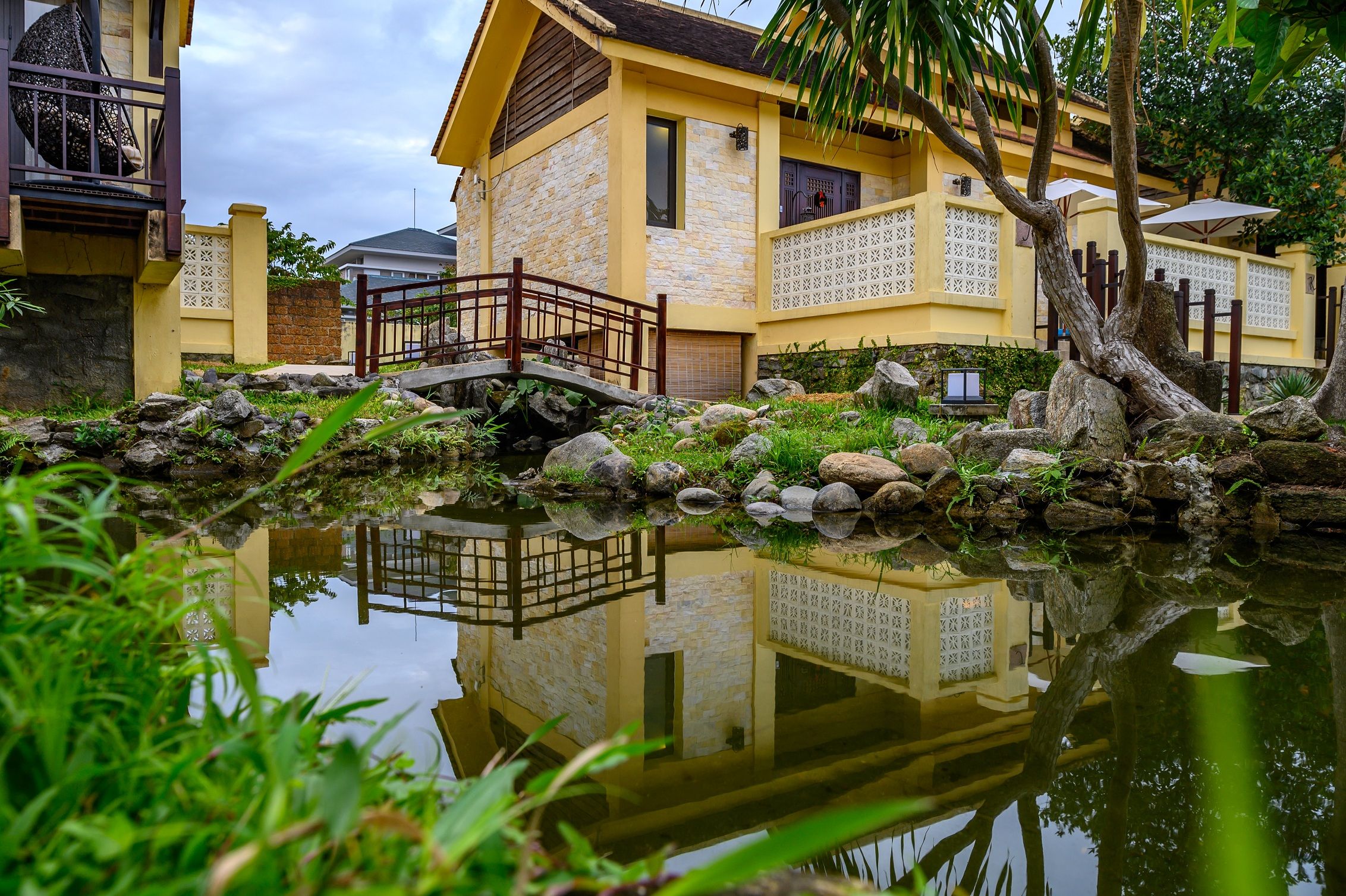 المظهر الخارجي