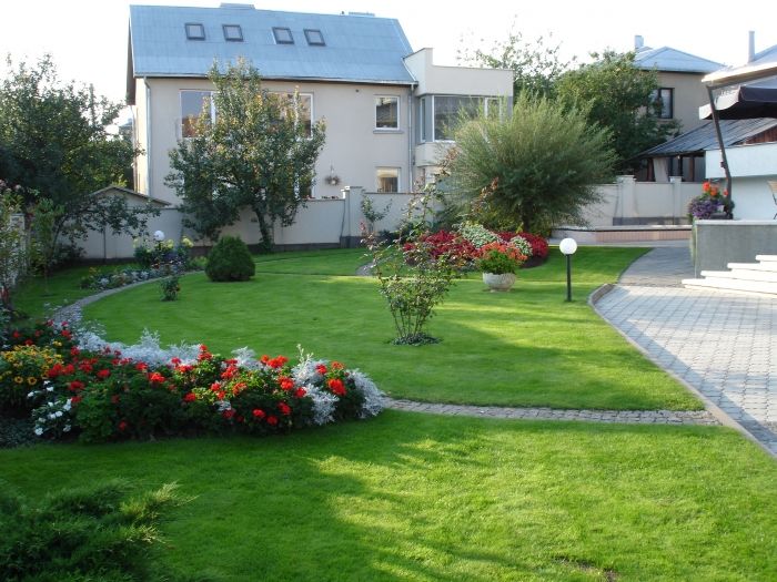 المظهر الخارجي