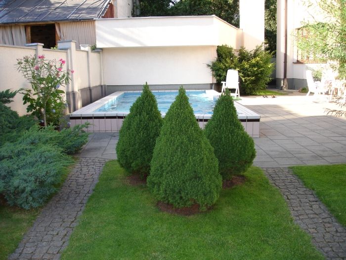 حوض السباحة