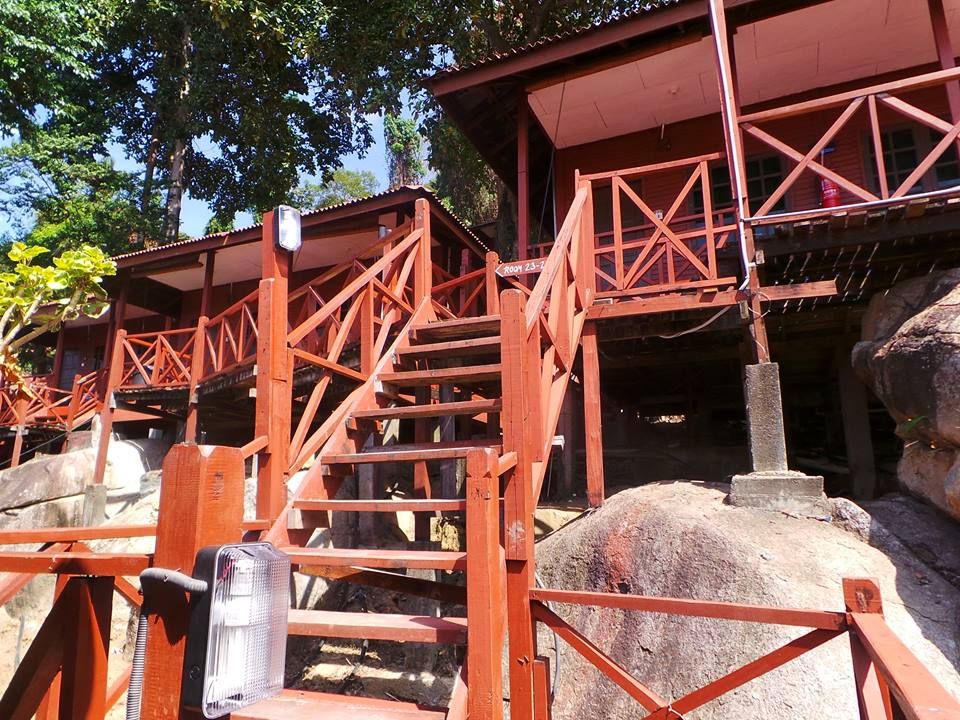 المظهر الخارجي