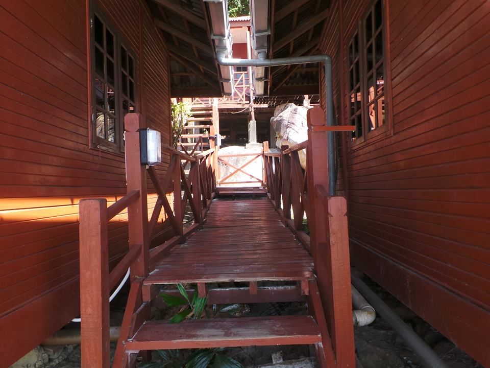 المظهر الخارجي