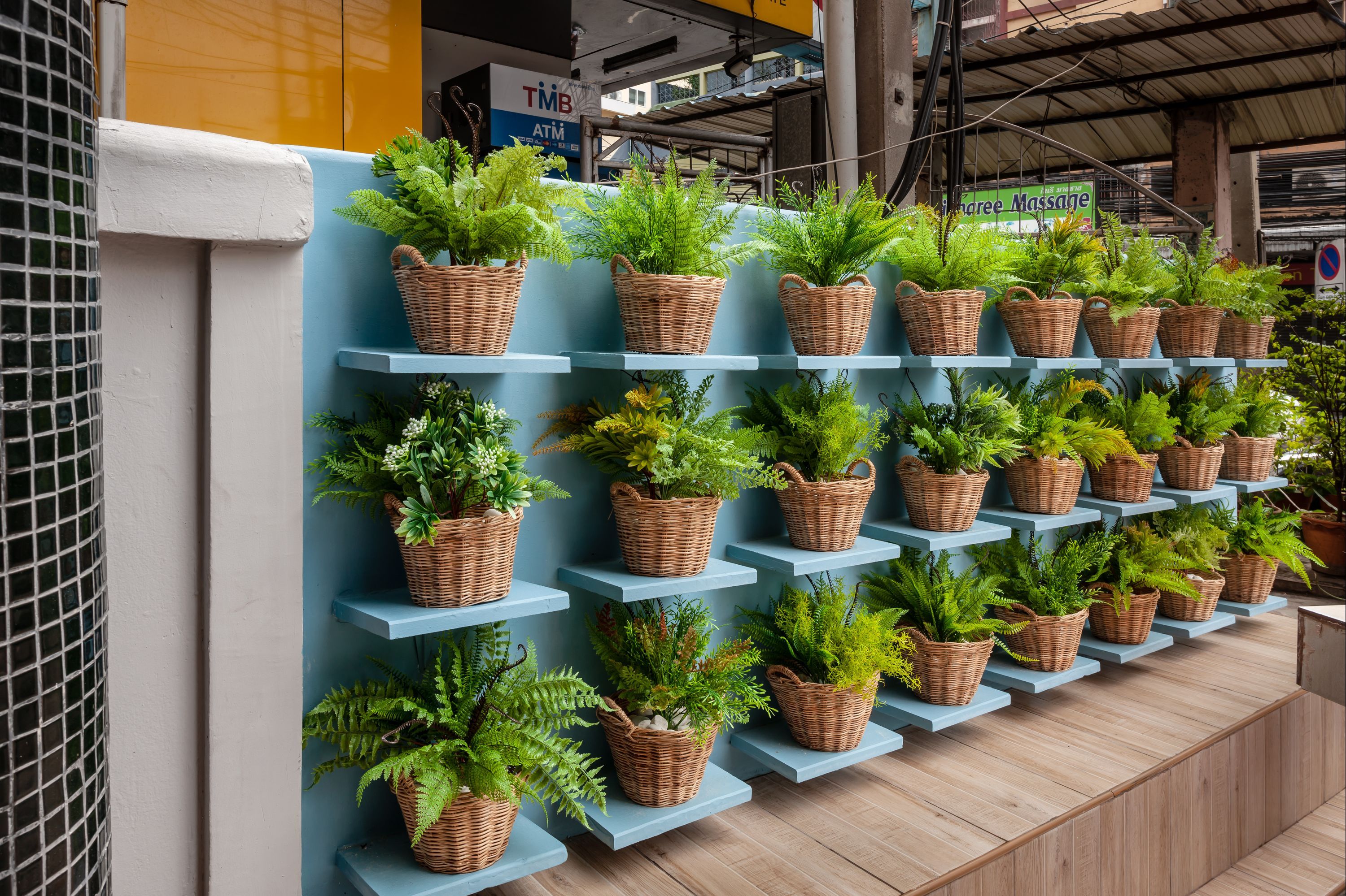 المظهر الخارجي