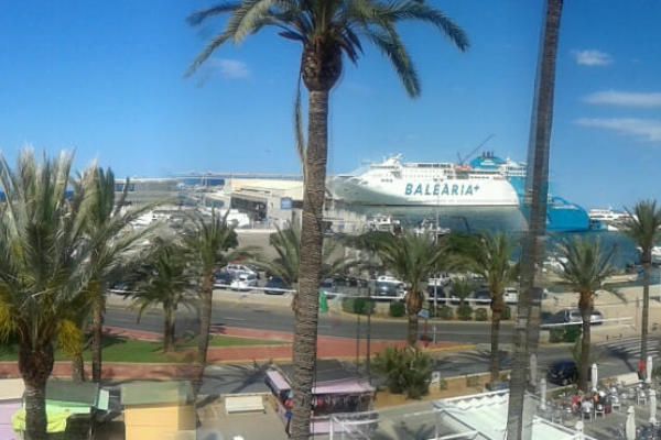 المظهر الخارجي