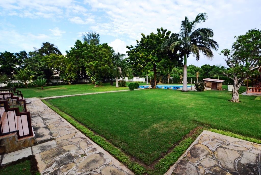 المظهر الخارجي