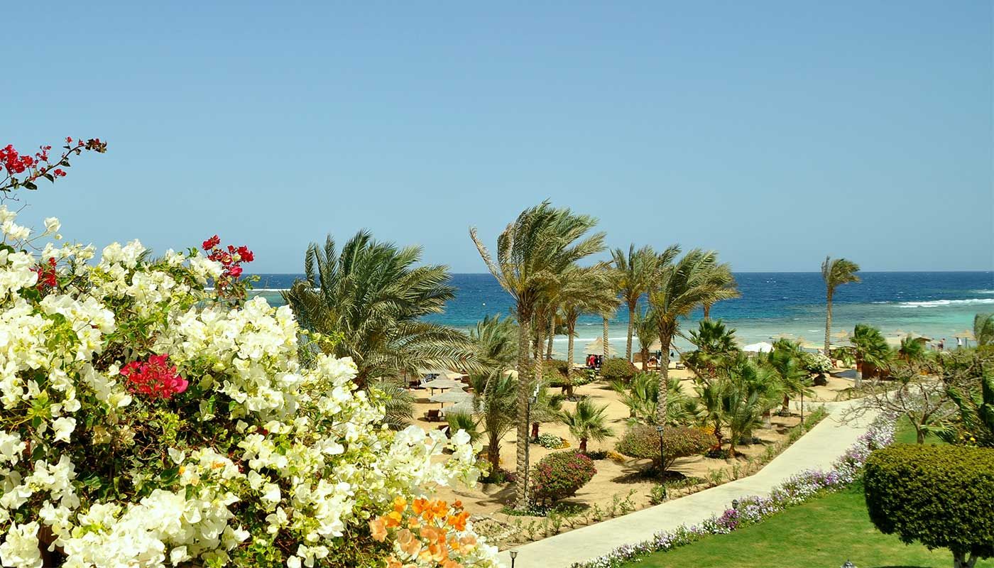 المظهر الخارجي