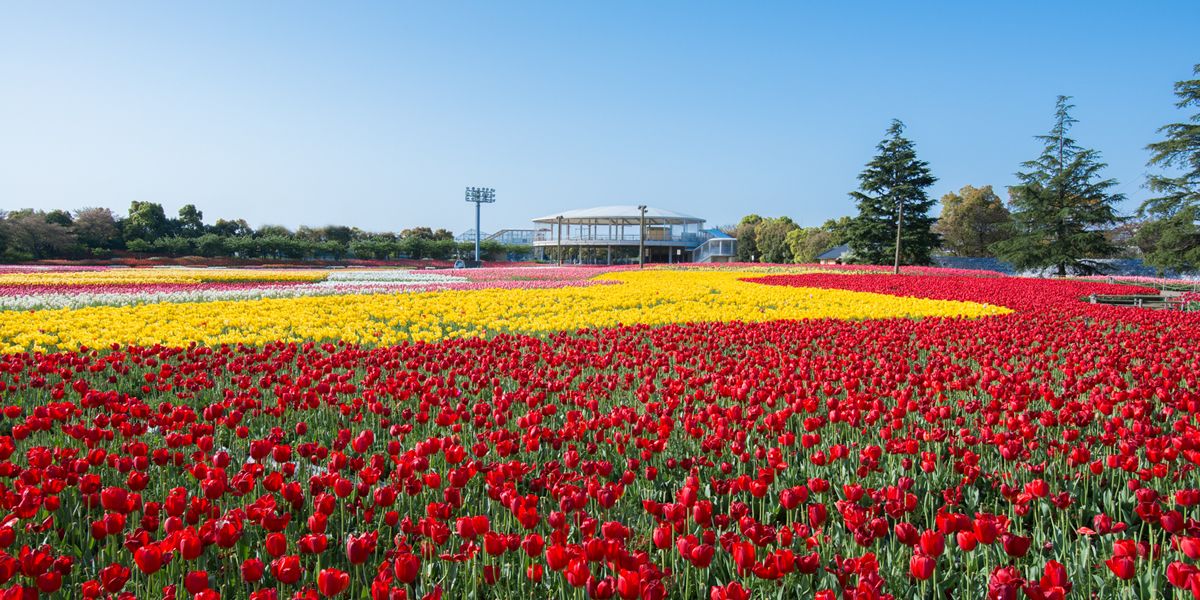 المعالم السياحية