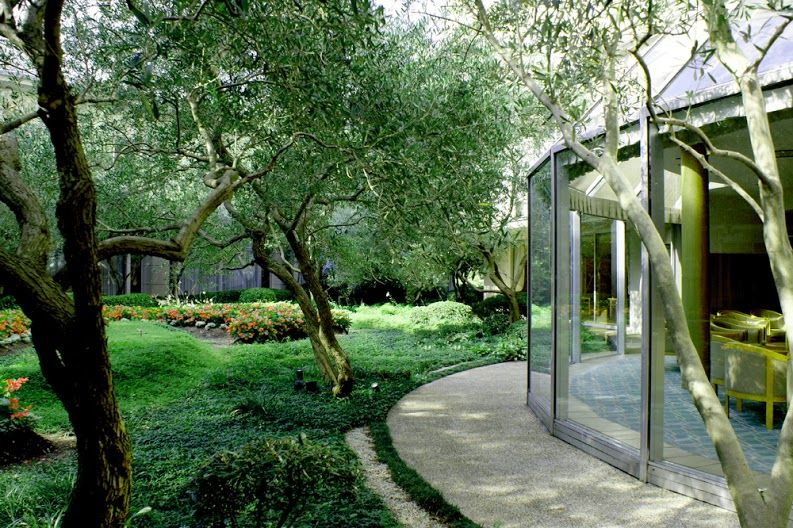 المظهر الخارجي