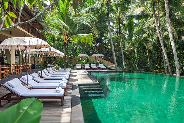 حوض السباحة صورة