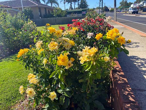 المظهر الخارجي