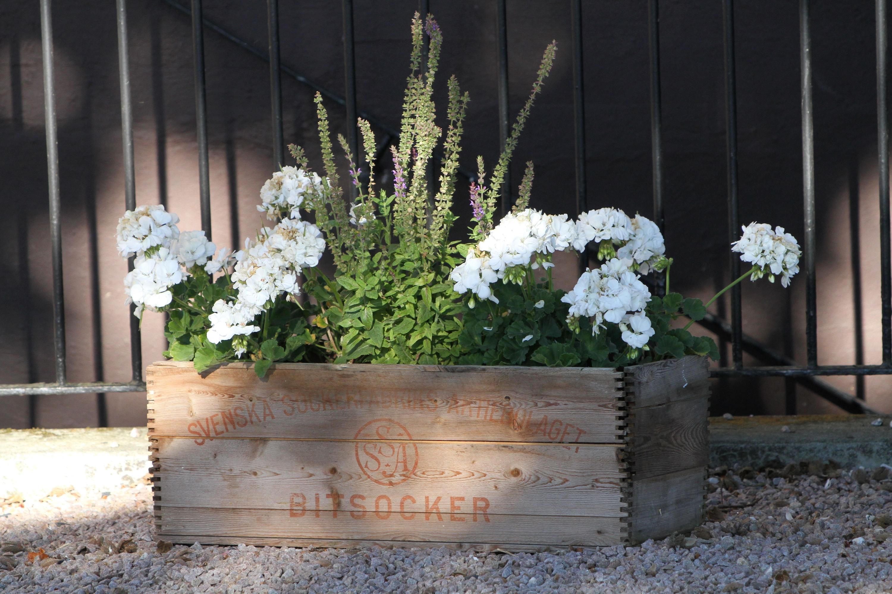 المظهر الخارجي