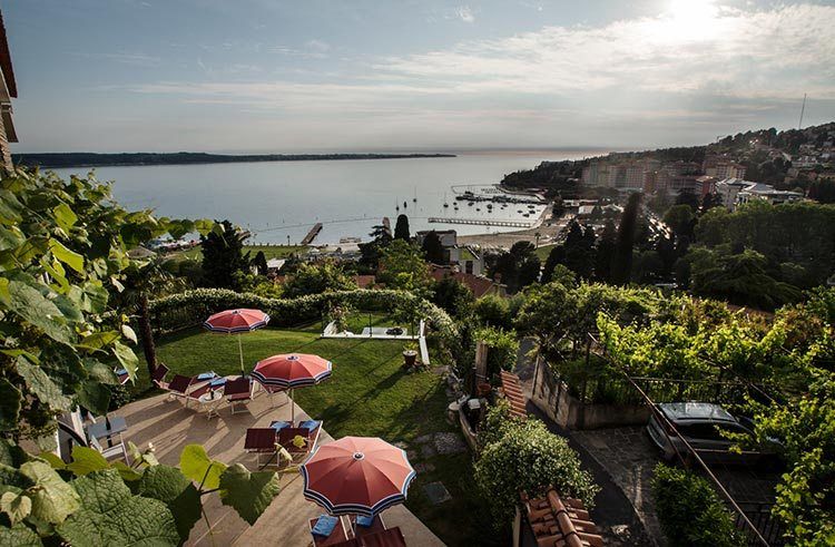 المظهر الخارجي