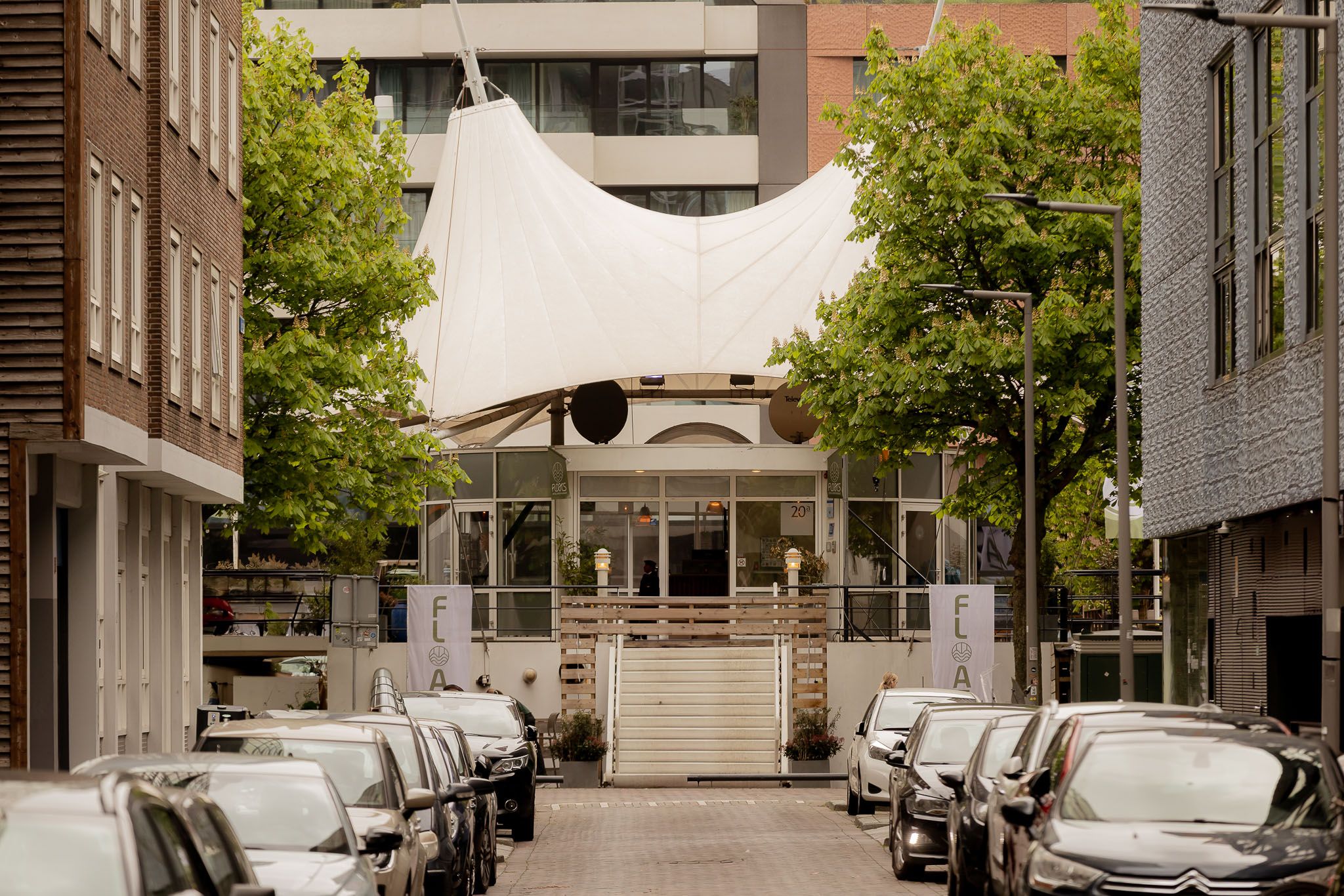 المظهر الخارجي