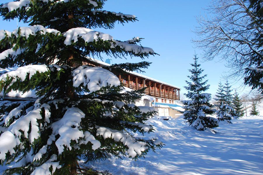 المظهر الخارجي