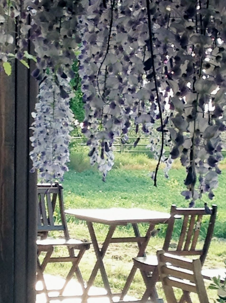 مرافق الفندق