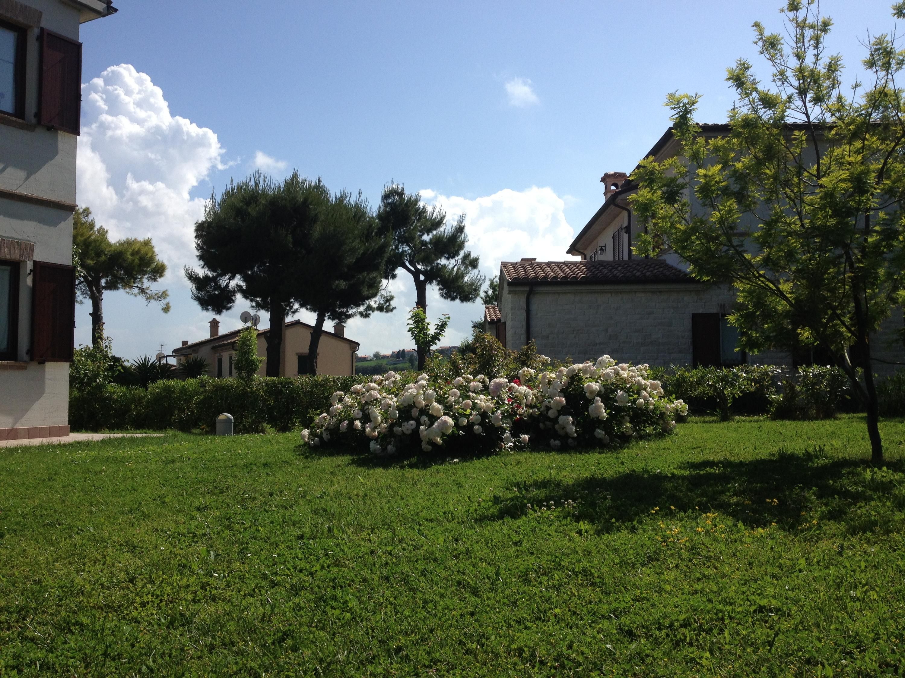 المظهر الخارجي