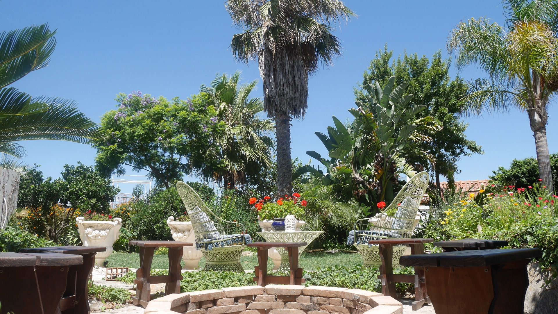 المظهر الخارجي