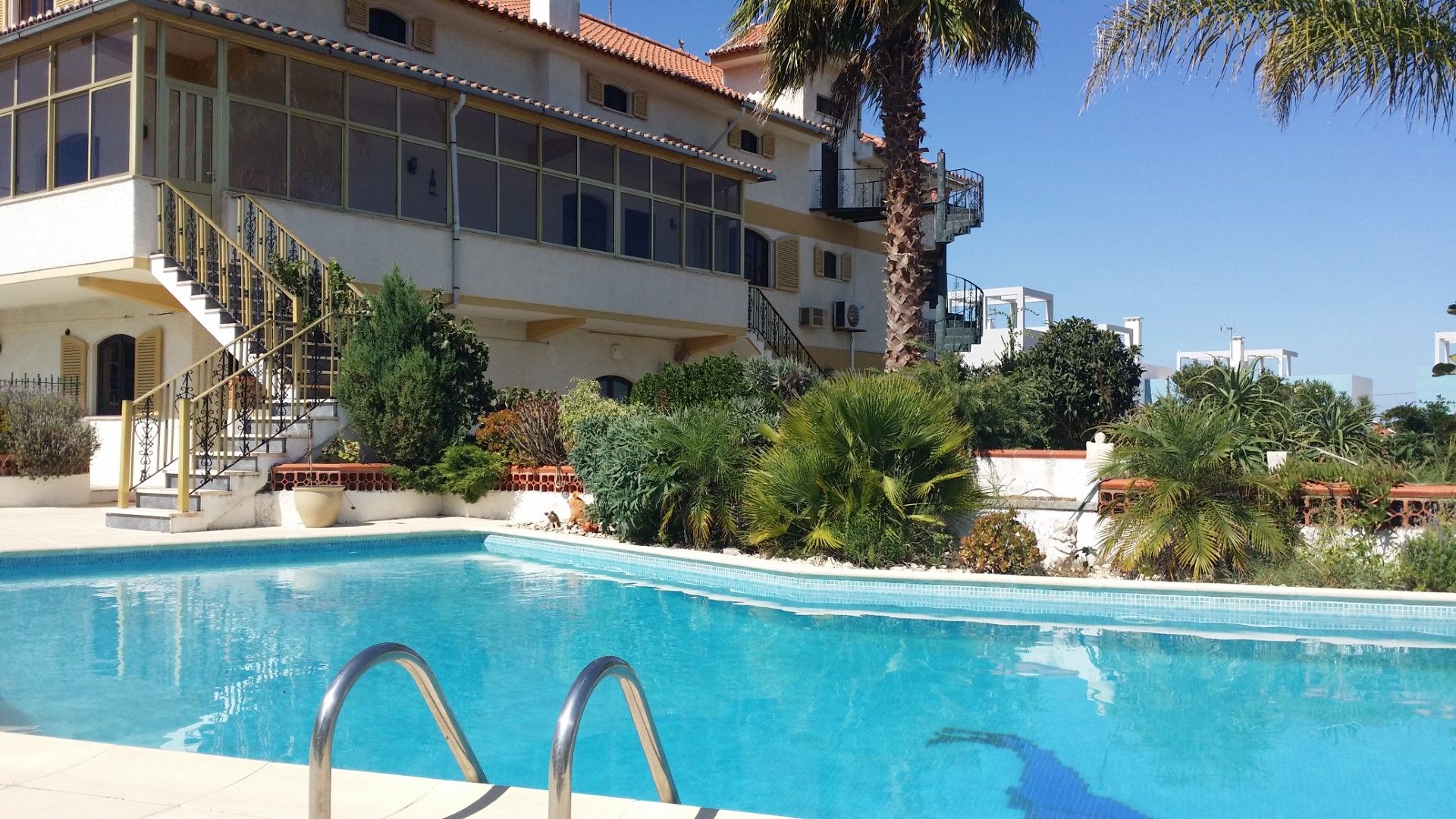 حوض السباحة