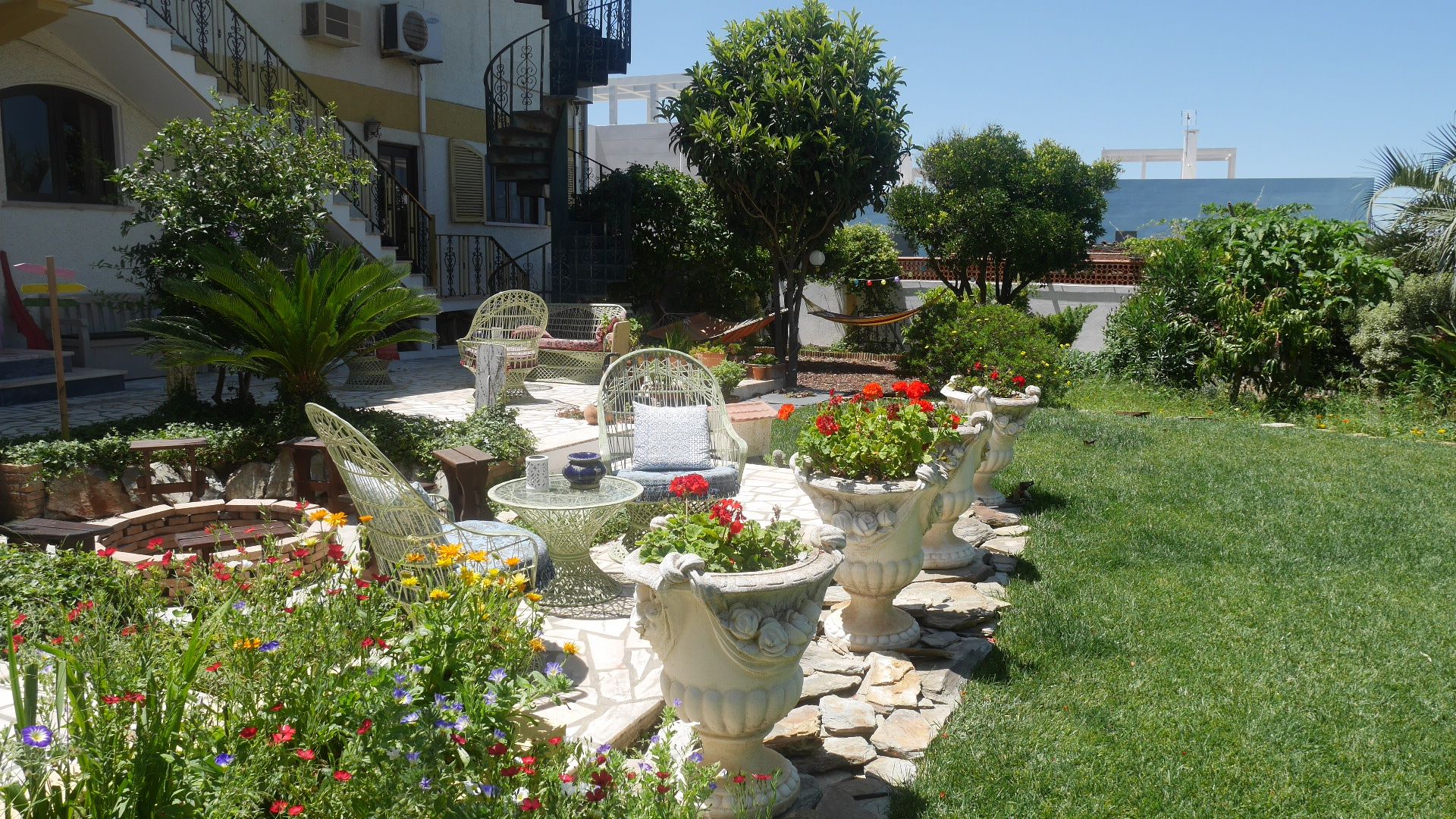 المظهر الخارجي