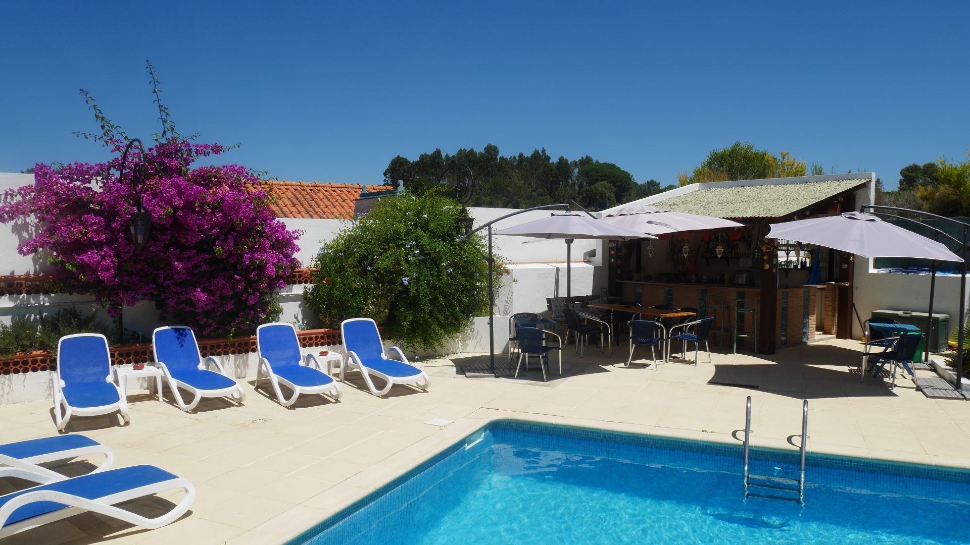 حوض السباحة