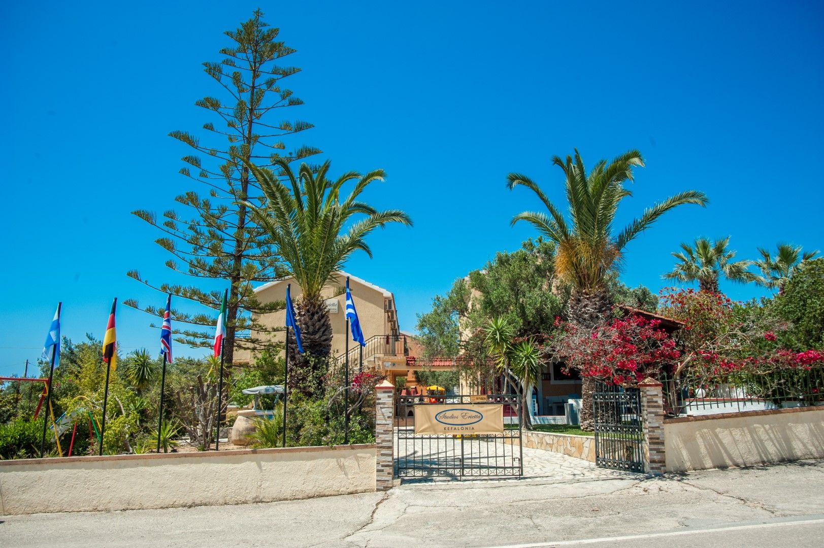 المظهر الخارجي