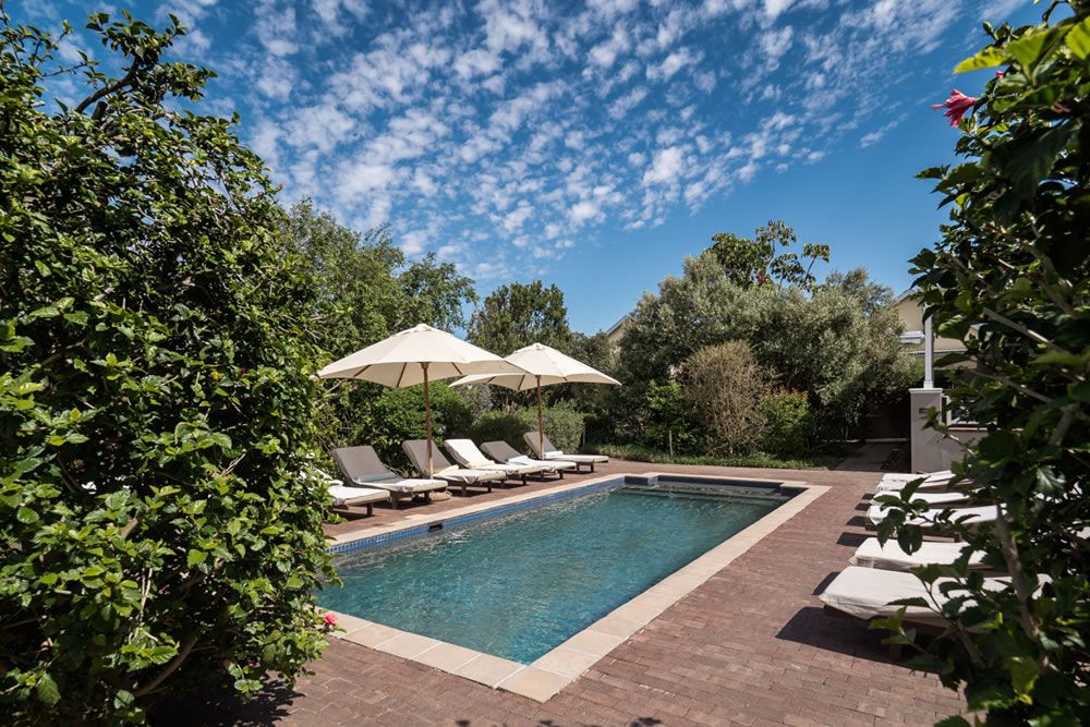 حوض السباحة