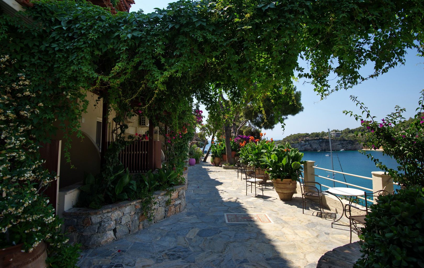 المظهر الخارجي