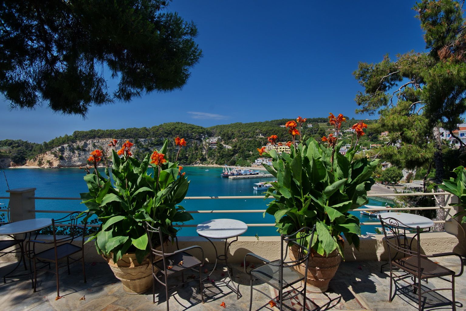 المظهر الخارجي