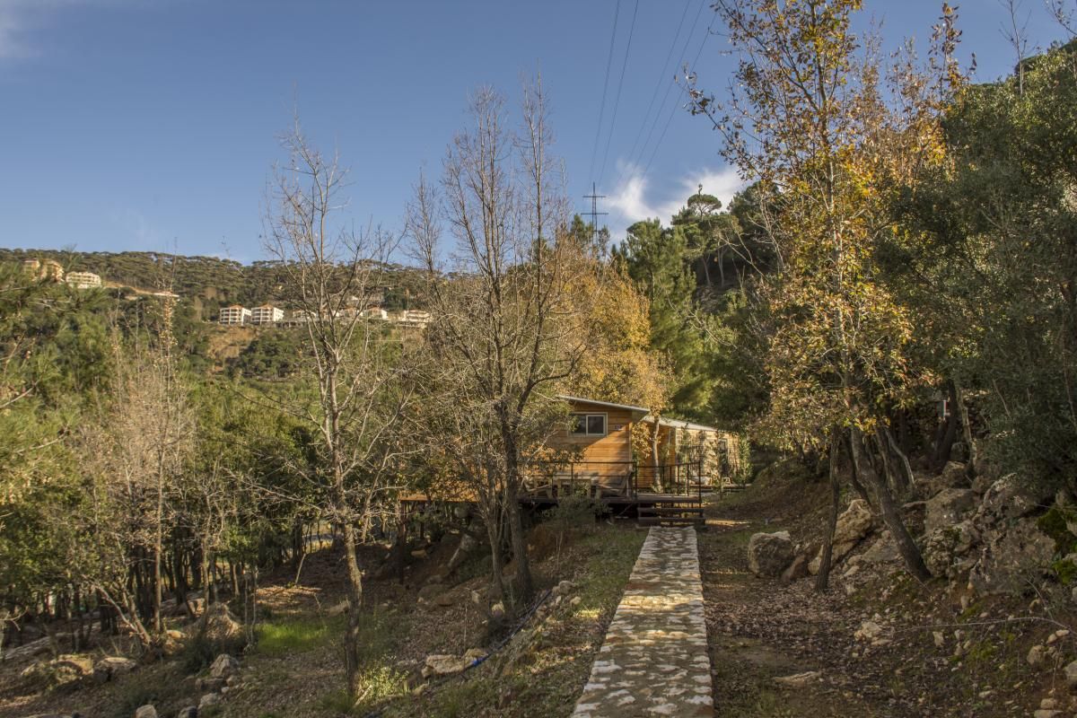 المظهر الخارجي