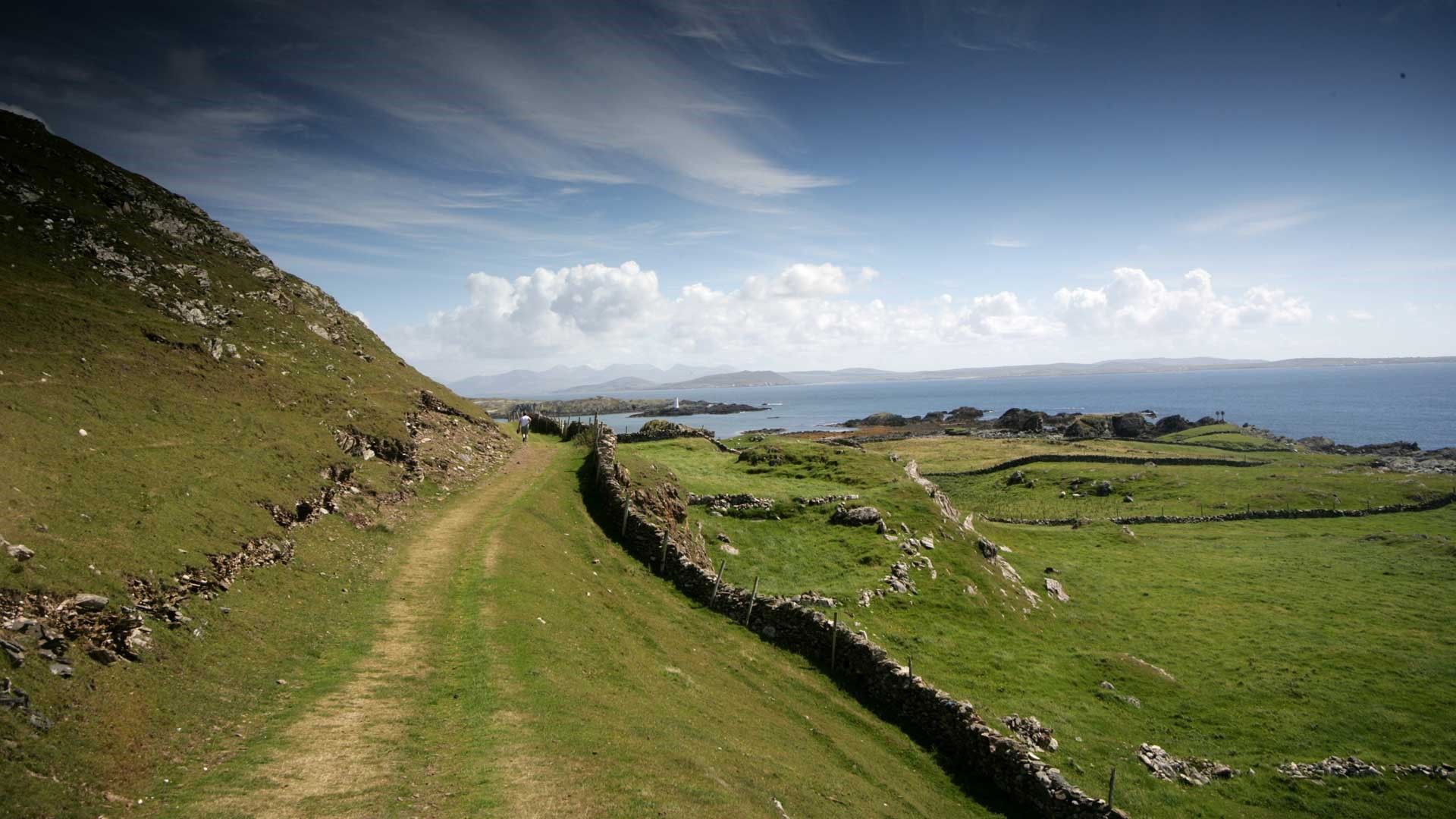 المظهر الخارجي