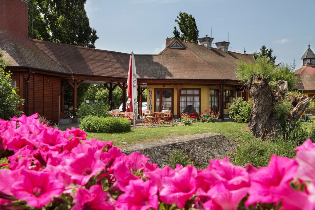 المظهر الخارجي