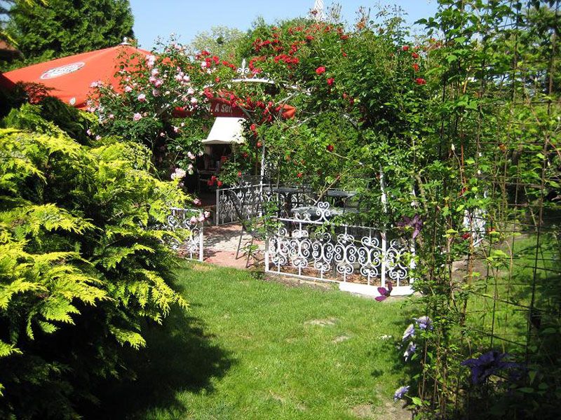 المظهر الخارجي