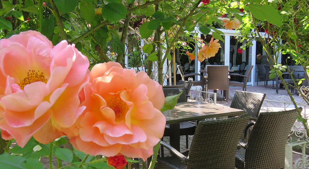 المظهر الخارجي