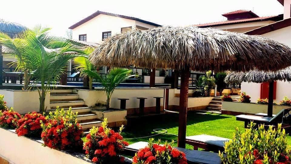 المظهر الخارجي