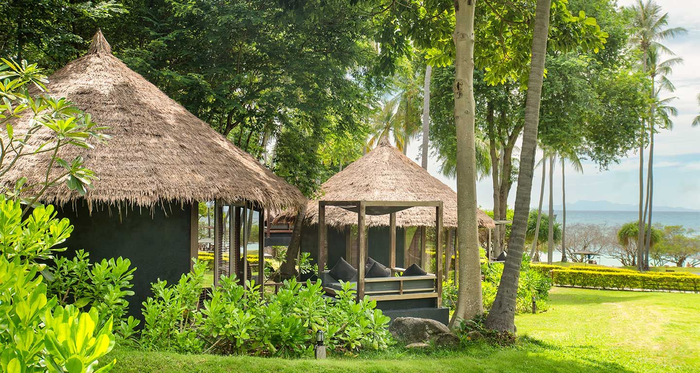 المظهر الخارجي