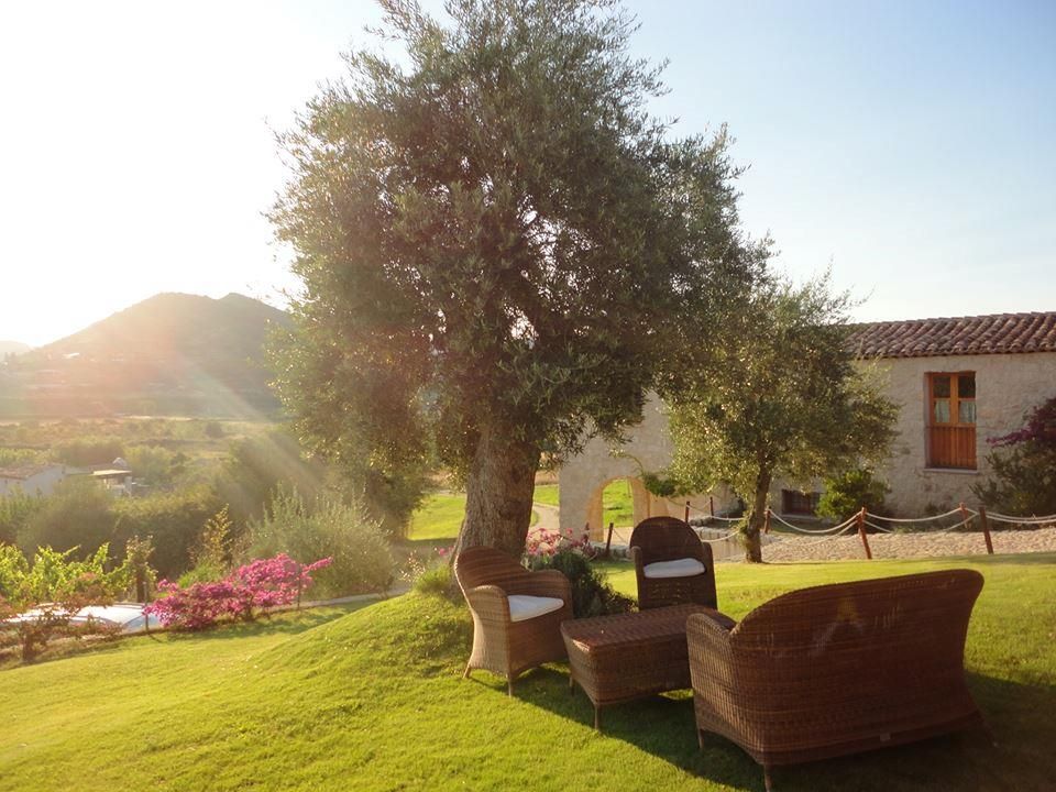 المظهر الخارجي