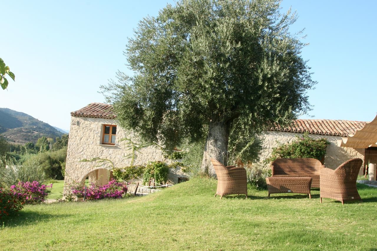 المظهر الخارجي