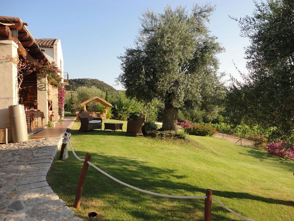 المظهر الخارجي