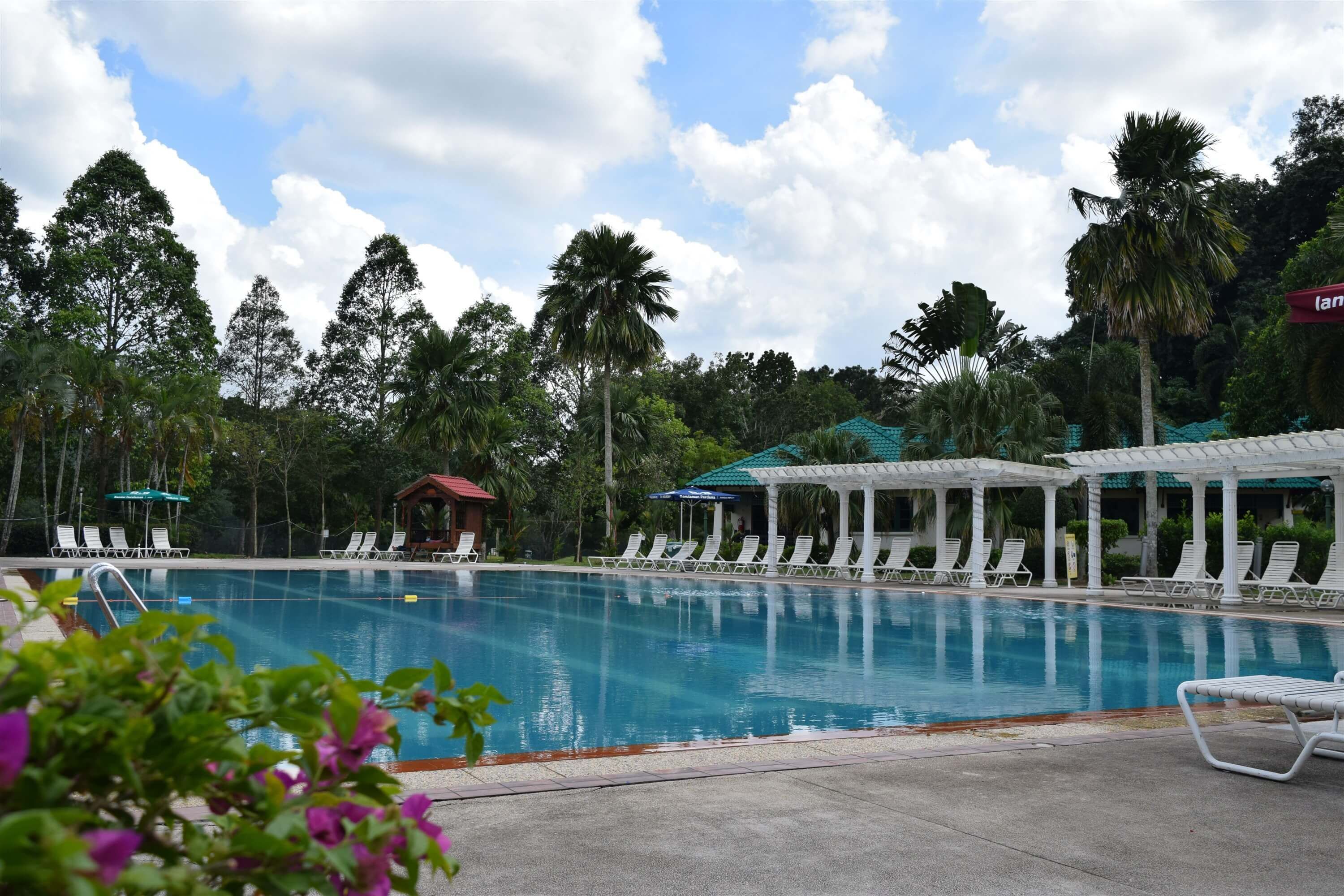 حوض السباحة