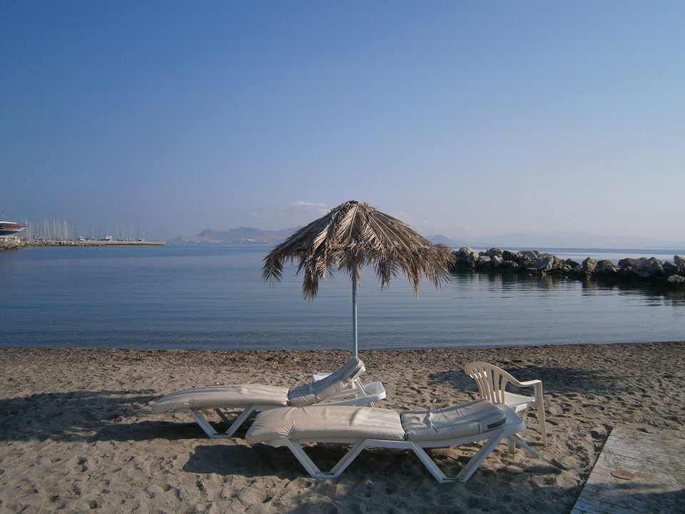 شاطئ صورة