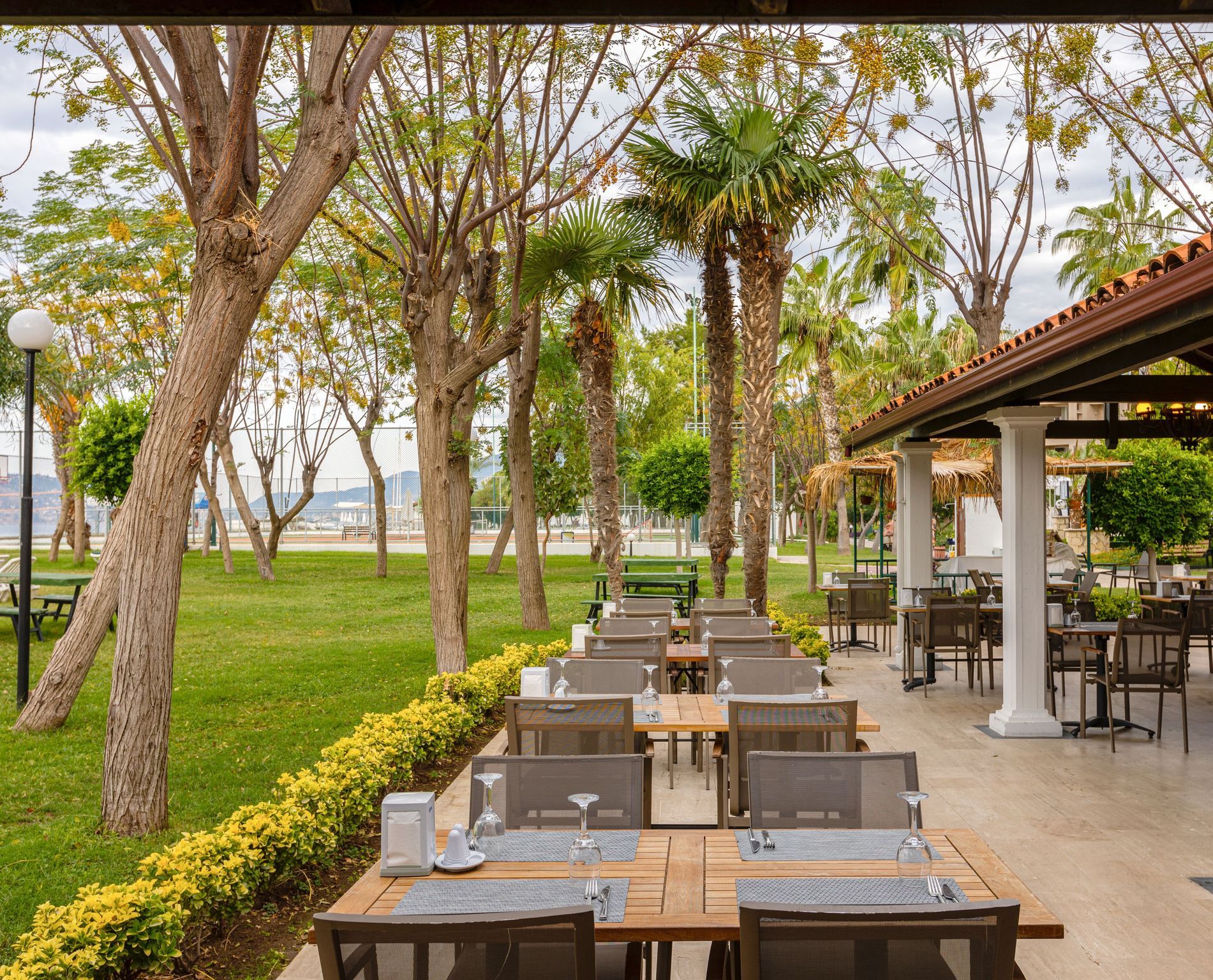 المظهر الخارجي