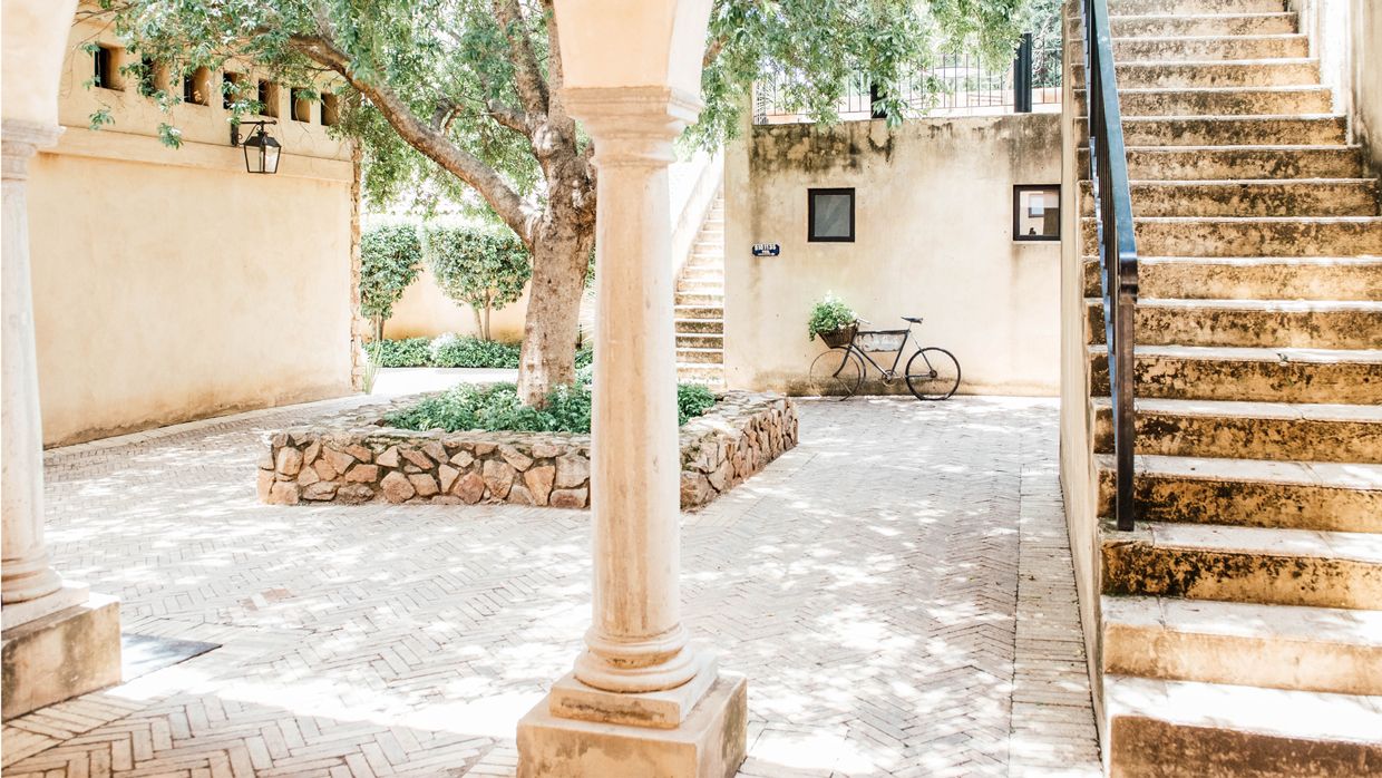 المظهر الخارجي