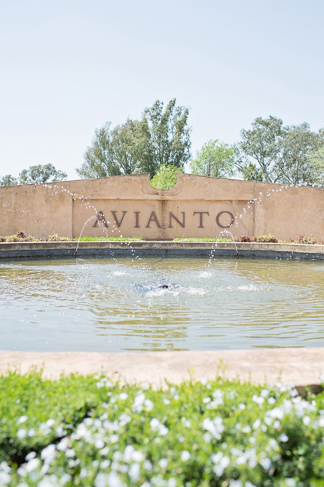 المظهر الخارجي