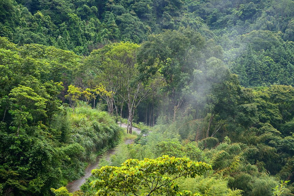 المظهر الخارجي