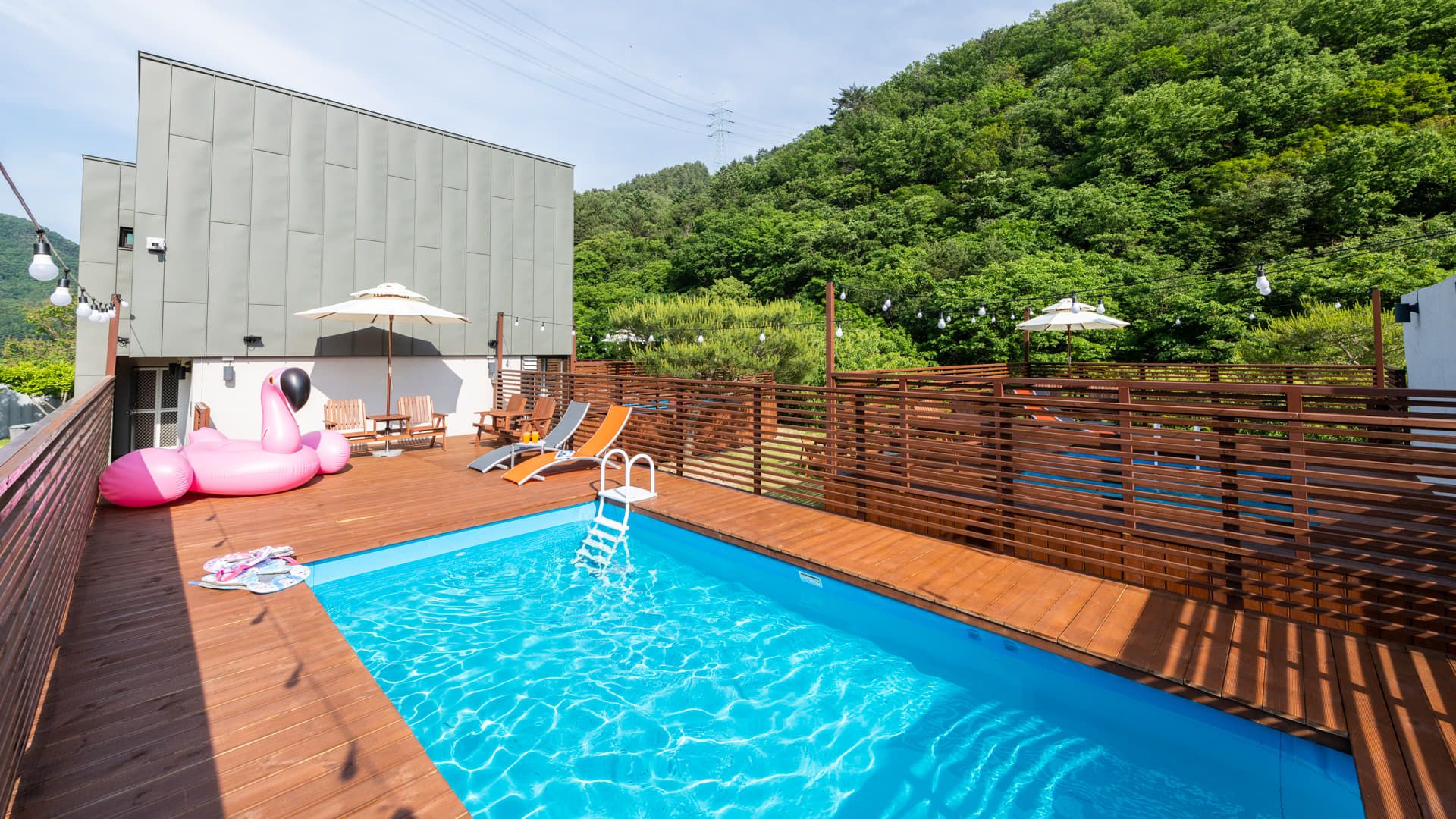 حوض السباحة صورة