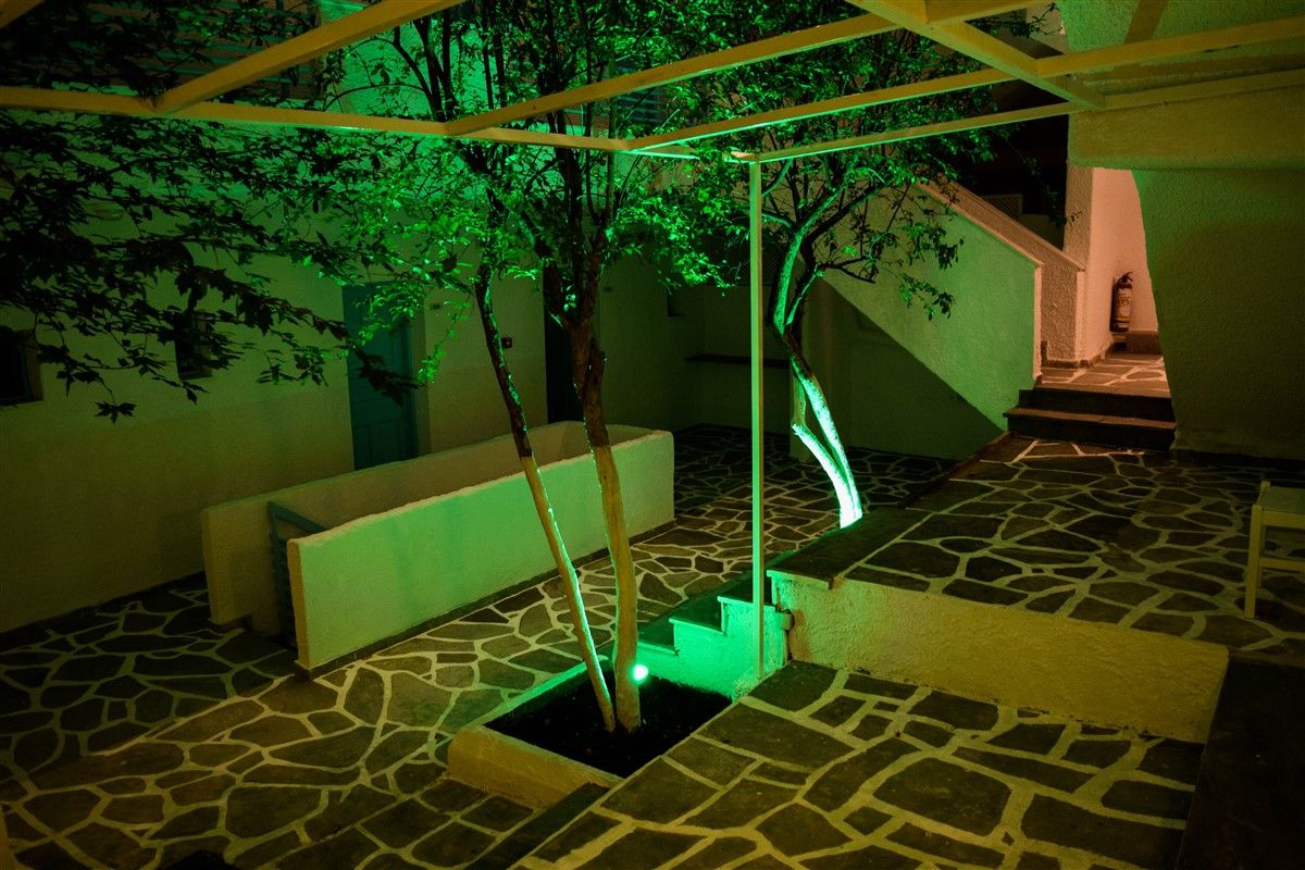 المظهر الخارجي