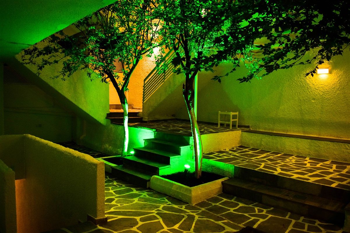 المظهر الخارجي